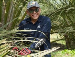 Komitmen Dukung Asta Cita, Holding Perkebunan Nusantara Dorong Anak Usaha Intensifikasi Produktivitas Melalui Peremajaan