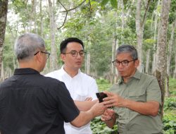 Holding Perkebunan Nusantara Dorong PTPN I Optimalkan Peluang di Tengah Tren Potensi Kenaikan Harga Karet