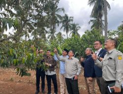 Hilirisasi Perkebunan Jadi Misi Nasional, PTPN I Ambil Peran Strategis di Bawah Holding Perkebunan Nusantara